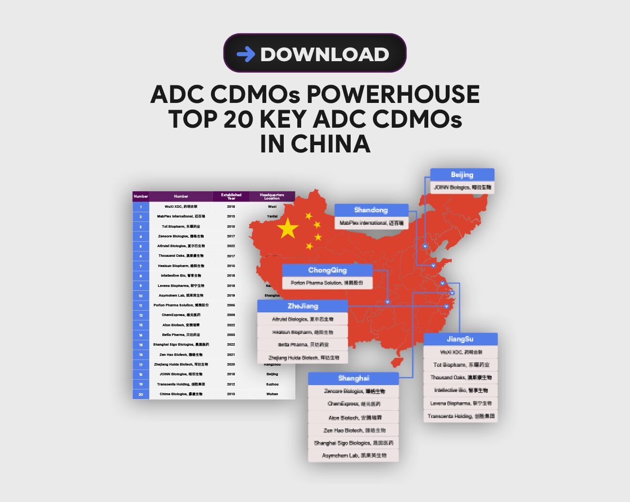 ADC25_Ebook China ADC (Web) 2